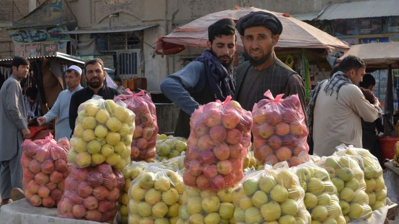 Afganistán: qué dice la sharía, la ley islámica que el Talibán impone de manera radical